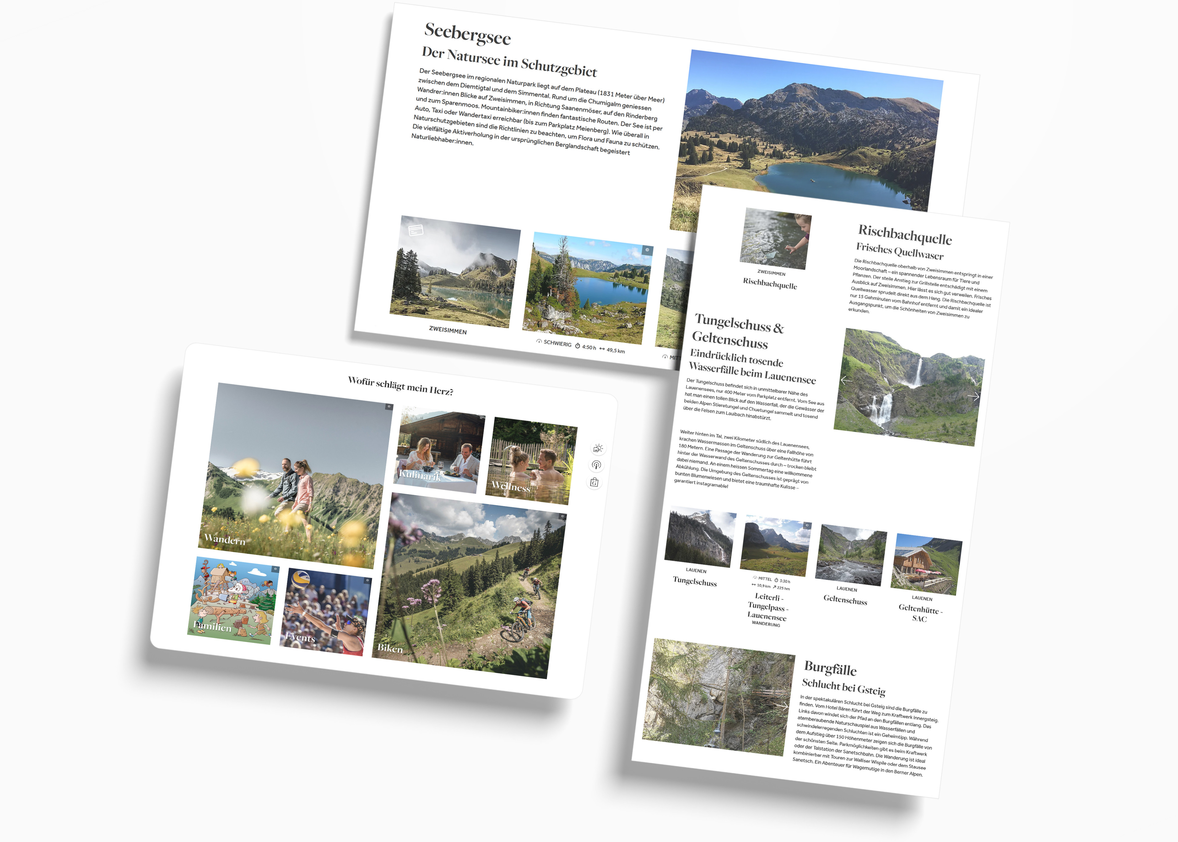 pixelpoint Webdesign der Tourismusregion Adelboden Lenk Kandersteg